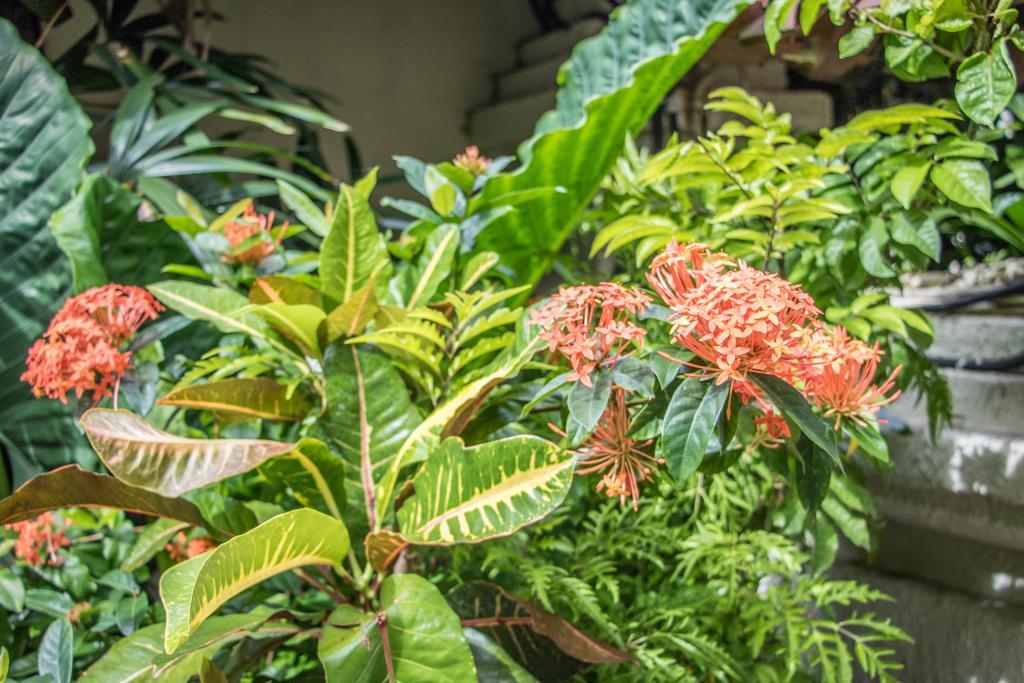 Villa Seriska Seminyak Екстер'єр фото